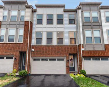 42422 Dogwood Glen Sq, Sterling