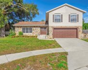 2261 E Greenhollow Drive, Palm Harbor image
