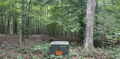 Lot 52 Silver  Pl, Moneta