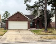 18311 Water Mill Drive, Cypress image