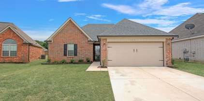 3719 Jordan Meadows Cove, Southaven
