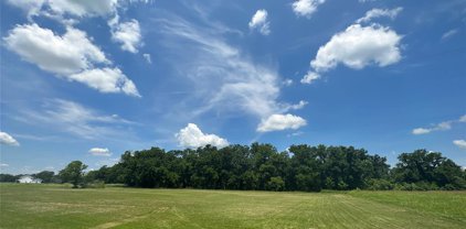 16410 Deerhaven Run, Rosharon