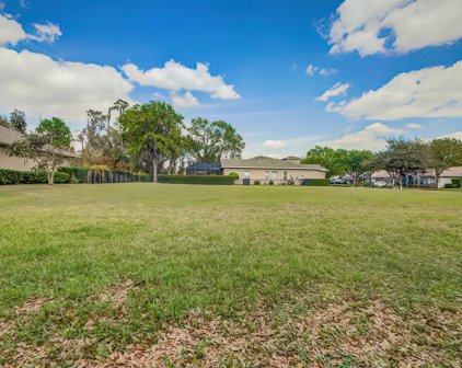 21312 Sky Vista Drive, Land O' Lakes