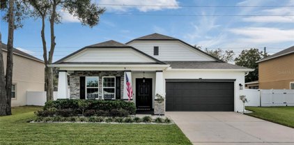 3785 Apopka Ridge, Apopka