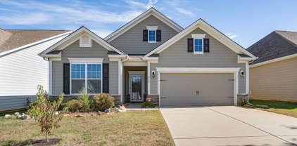 282 Robinwood  Lane, Lake Wylie