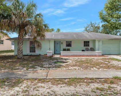 12544 Killian Street, Spring Hill