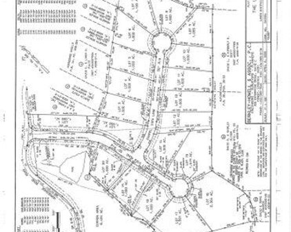 Lot 13 Chapel View  Ln, Goodview