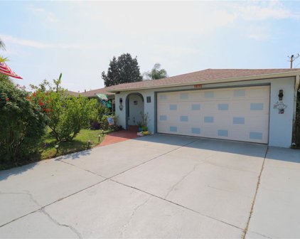 5742 Melaleuca Drive, Holiday