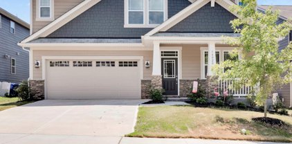 14020 Magnolia Walk  Drive, Huntersville