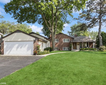 1028 E Oakton Street, Arlington Heights