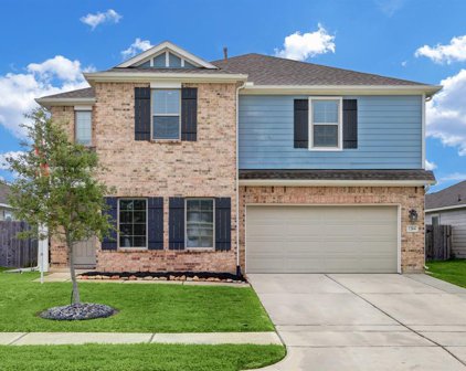 1244 Steed Bluff Drive, Alvin