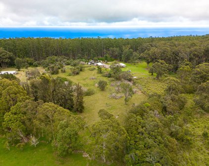 45-3501 PUAONO RD, HONOKAA