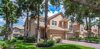 14510 Mirabelle Vista Circle, Tampa