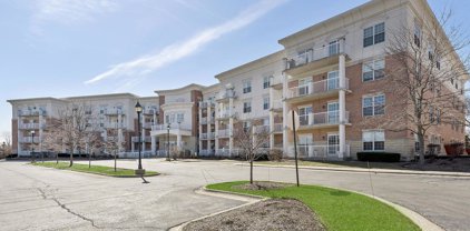 601 W Rand Road Unit #207, Arlington Heights