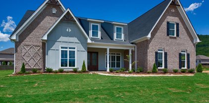 15 Belle River Way, Gurley