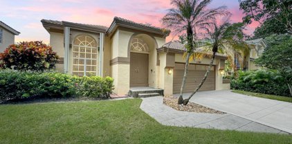 10343 Brasilia St, Cooper City