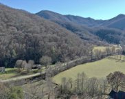 Lot 66 Native Wildflower, Cullowhee image