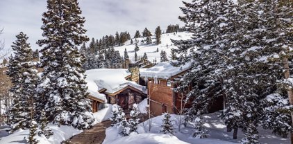 7887 Aster Court, Park City