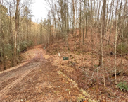 00 Upper Dalton Creek Rd, Franklin image