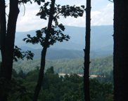 96-2 Wild Orchid Trail, Bryson City image