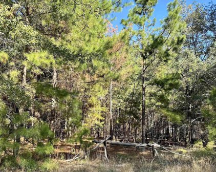 Lot 195 Green Meadow Trail, Holly Lake Ranch