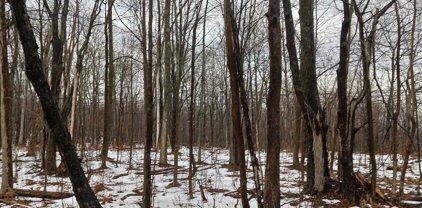 00 Nys Route 16  Road, Allegany-042089