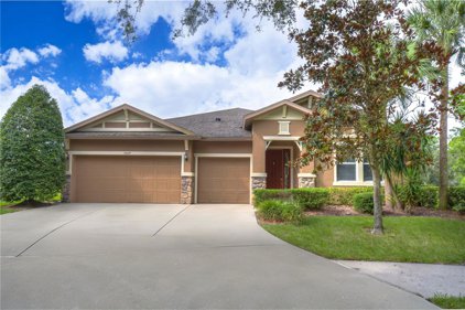 15649 Starling Water Drive, Lithia
