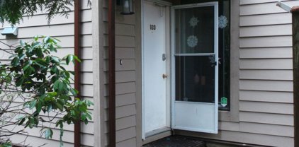 9132 Capella Drive Unit 103, Burnaby