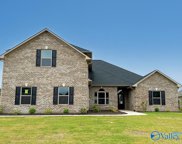 17356 Stonegate Drive, Athens image
