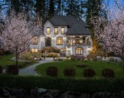 1483 Crystal Creek Drive, Port Moody image
