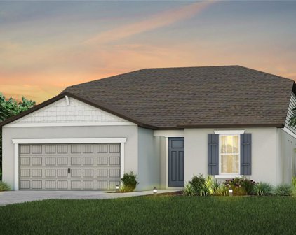 9907 Patterson Way, Parrish