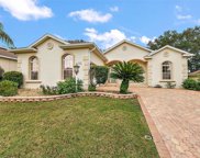 17895 Se 125th, Summerfield image