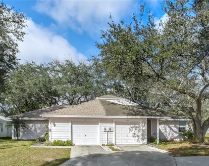 4409 Pine Meadow Court, Tampa