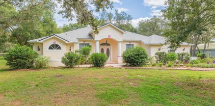 20012 Paso Fino Way, Dade City