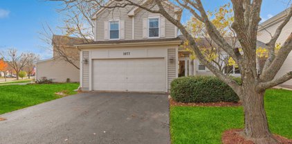 1077 Blackburn Drive, Grayslake