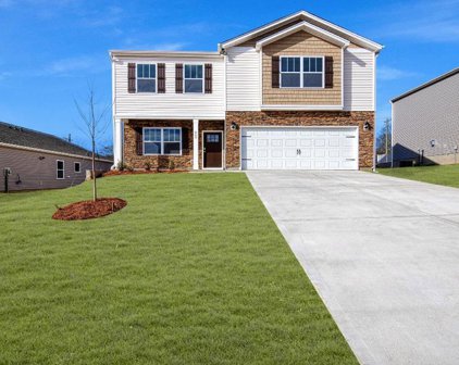 809 Colmore Trail, Lyman
