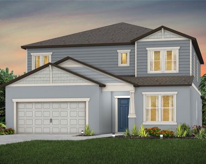 14153 Hammock Crest Way, Riverview
