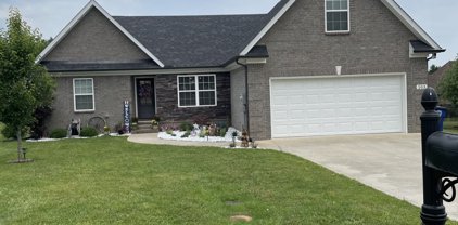 203 Raleigh Pl, Shelbyville
