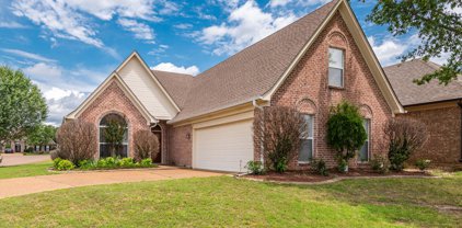2916 Boffin Drive, Southaven