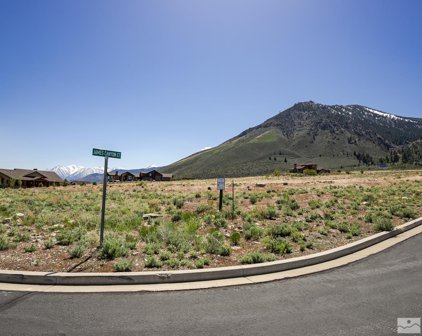 2943 James Canyon Ct., Genoa