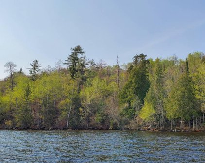 TBD Pine Island, Greenwood