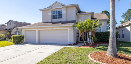 3633 Morgans Bluff Court, Land O' Lakes