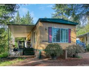 44221 MCKENZIE HWY, Walterville image