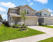 23622 Fallen Cone Street, Spring image