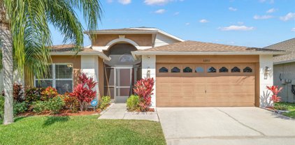 22741 Roderick Drive, Land O' Lakes