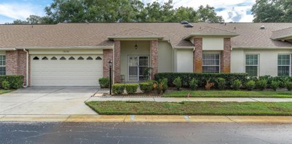 9052 Arundle Place, New Port Richey