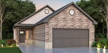 11680 Whirlaway, Willis