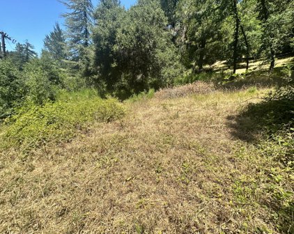 15971 Forest Hill DR, Boulder Creek