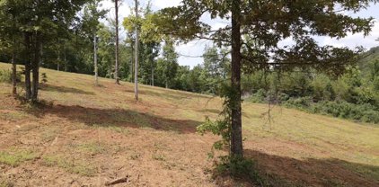 Lot 2 6 Mile Rd, Maryville