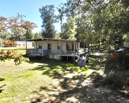 264 S Holiday Drive, Abbeville